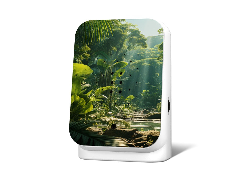 Relaxound - Wunderschöne Dschungelklänge im Haus - Junglebox (120 Sekunden)
