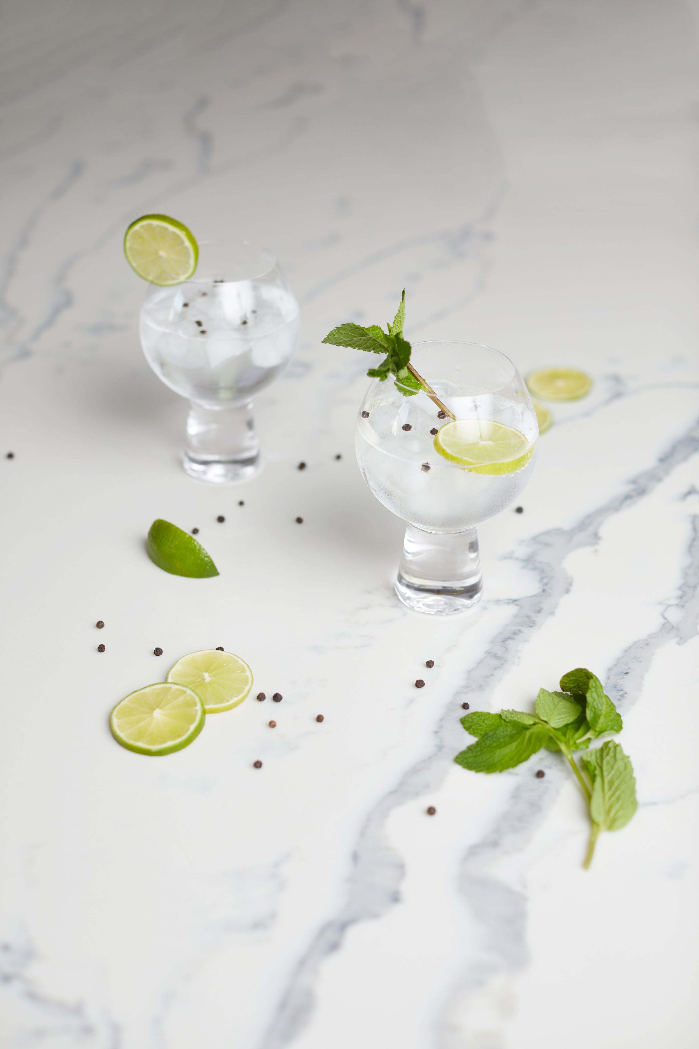 Gin-Gläser – 2er-Set – Elegante Servierung Ihres Lieblings-Gins