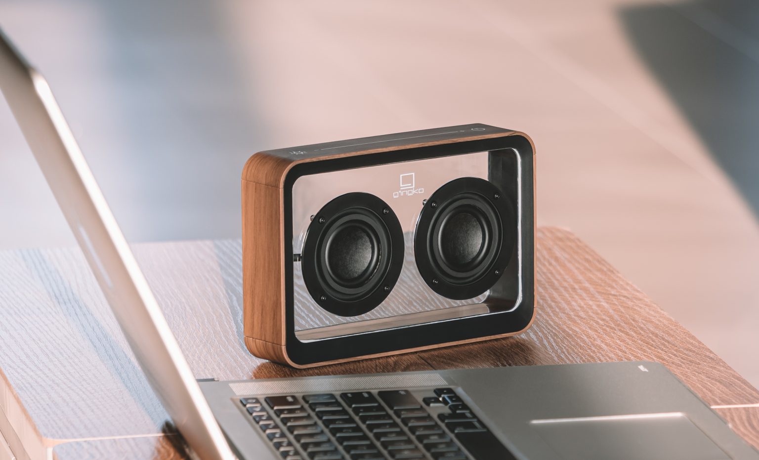 Gingko Mage See - Through Bluetooth Lautsprecher