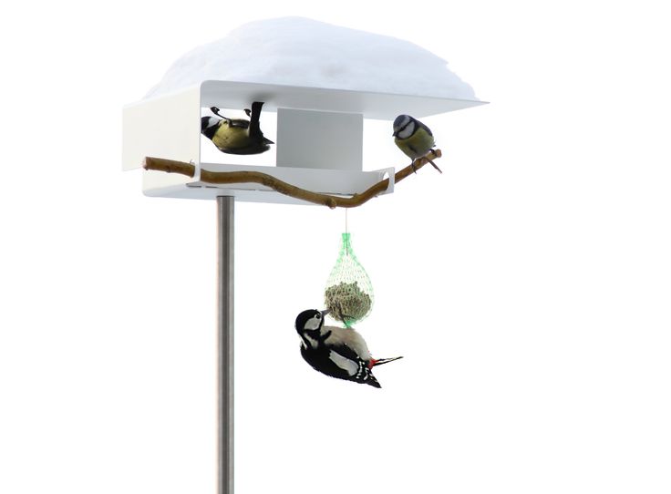 Feeder with spike - Bungalow - Opossum Design