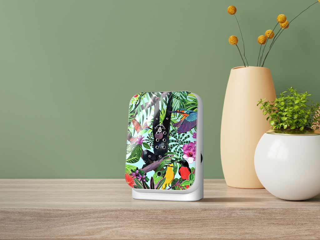 Relaxound - Skønne junglelyde i huset - Junglebox (120 sekunder)